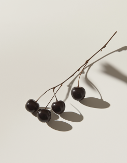 loyaldc_still_life_photograph_of_black_cherries_on_the_stem_cas_d9a2c532-541f-4116-8c49-60b1f7248058